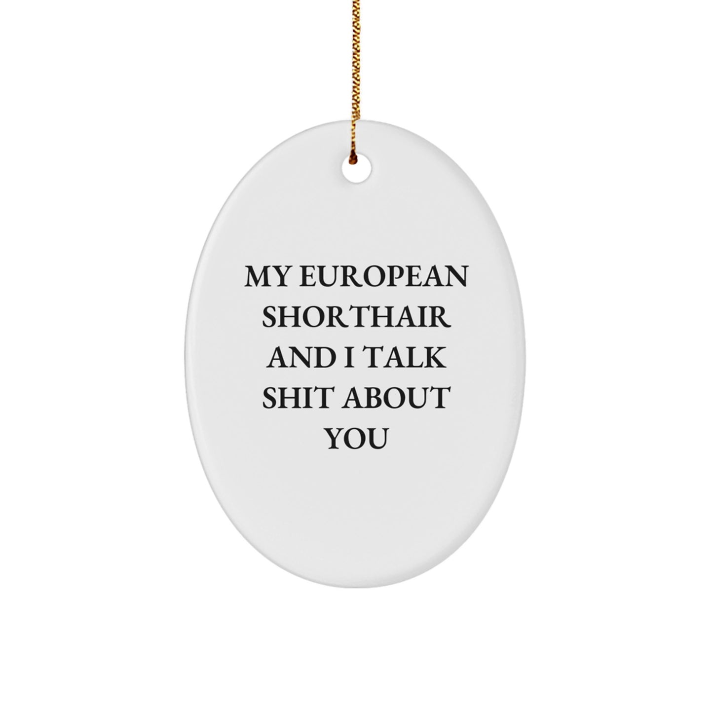 Funny European Shorthair Cat Oval Ornaments Gifts from Family for Christmas Unique Decorations - Image 1