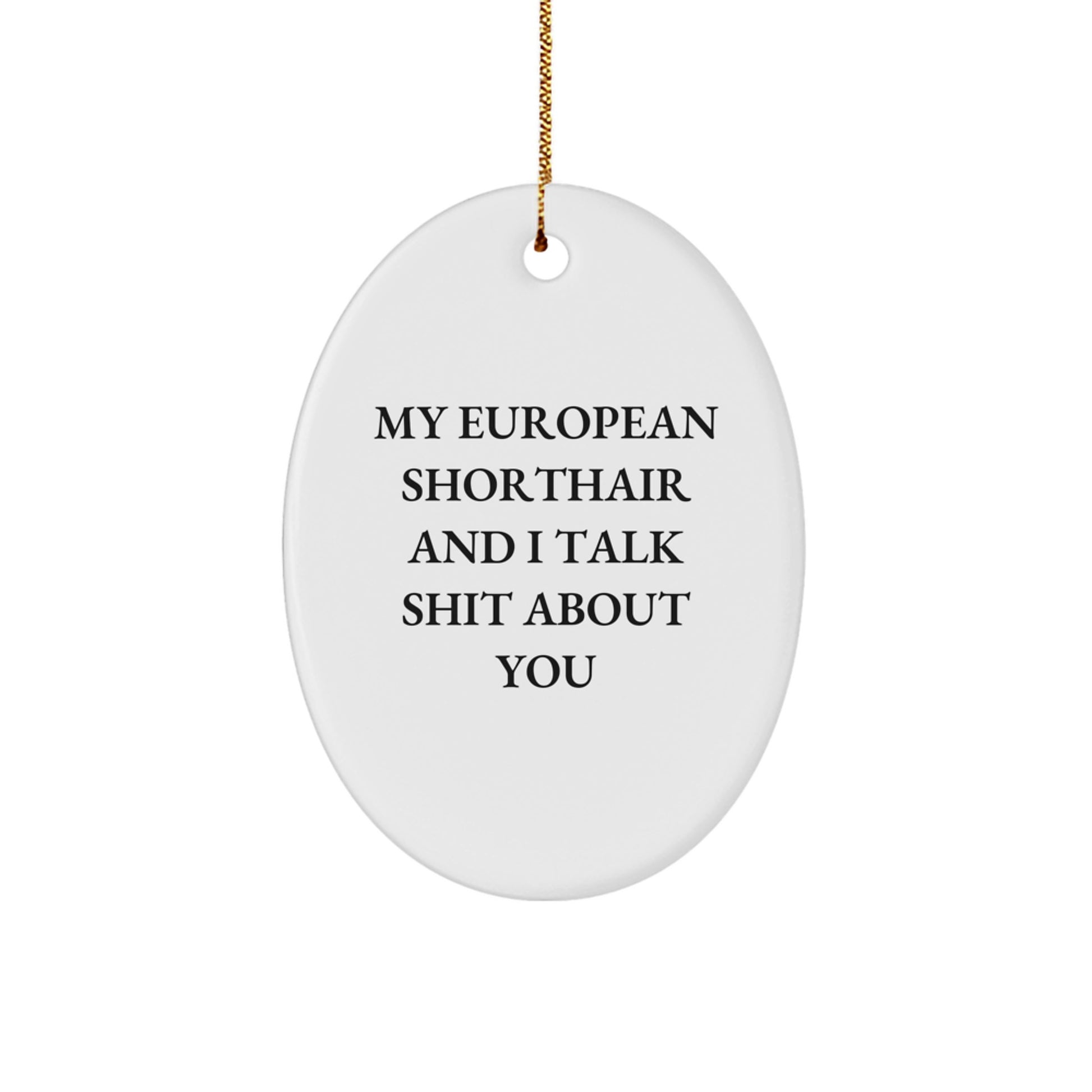 Funny European Shorthair Cat Oval Ornaments Gifts from Family for Christmas Unique Decorations - Image 1