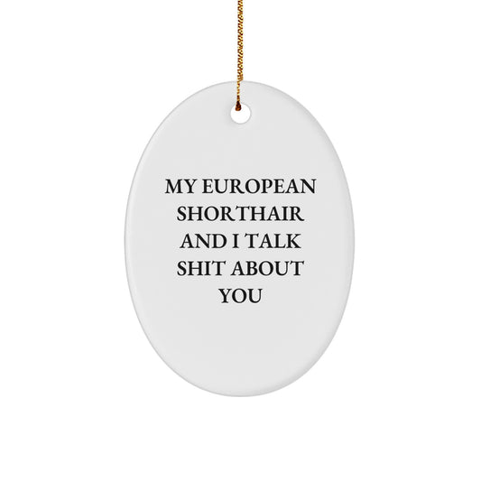 Funny European Shorthair Cat Oval Ornaments Gifts from Family for Christmas Unique Decorations - Image 1