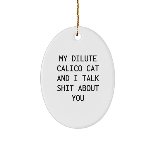 Funny Dilute Calico Cat Gifts for Friends, Christmas Unique Gift Ideas from Men, Oval Ornament Decor - Image 1