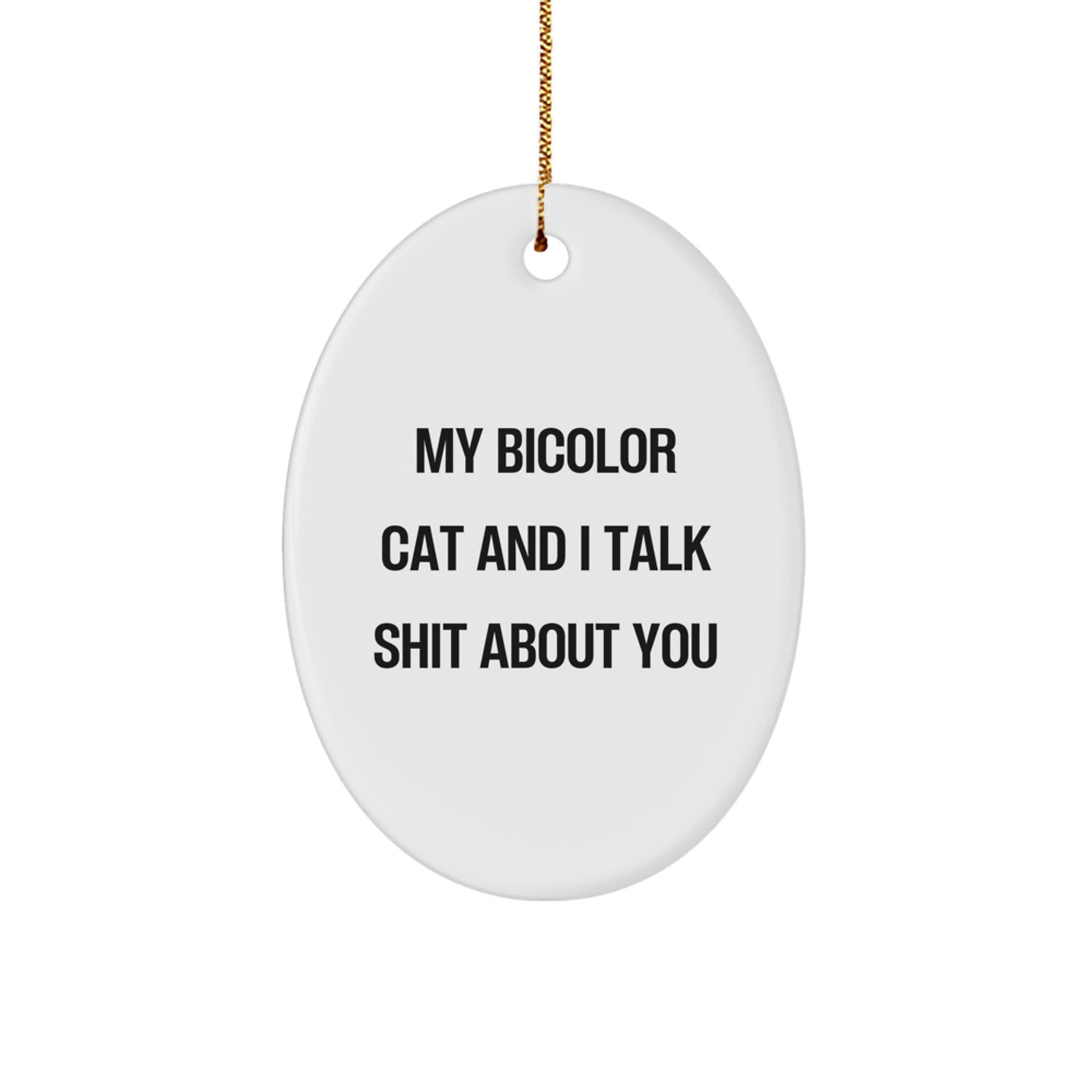 Funny Bicolor Cat Oval Ornaments Gifts from Friends for Christmas - Image 1