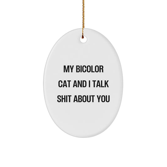 Funny Bicolor Cat Oval Ornaments Gifts from Friends for Christmas - Image 1