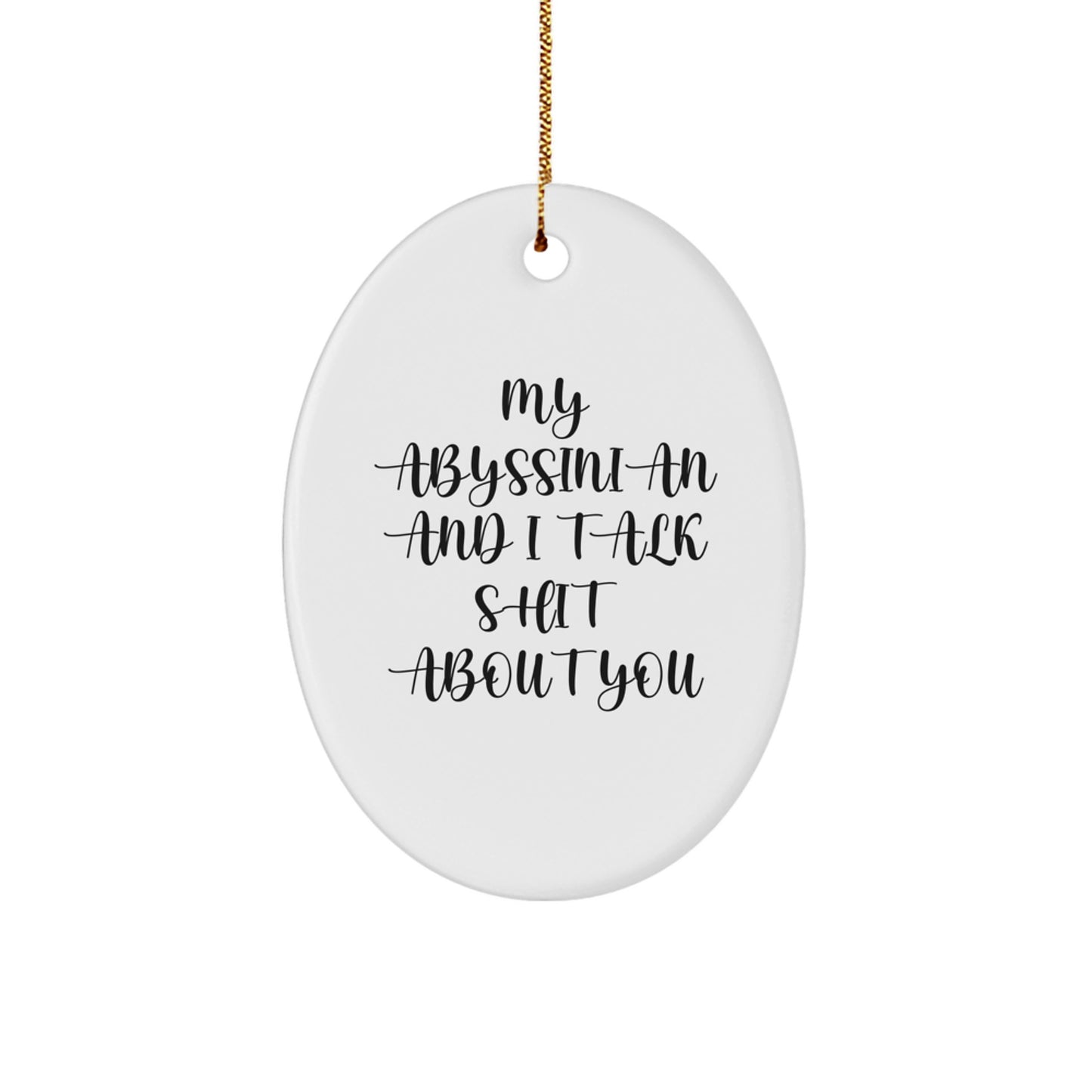 Funny Abyssinian Cat Oval Ornament Gifts from Family for Cat Lovers at Christmas Unique - Image 1