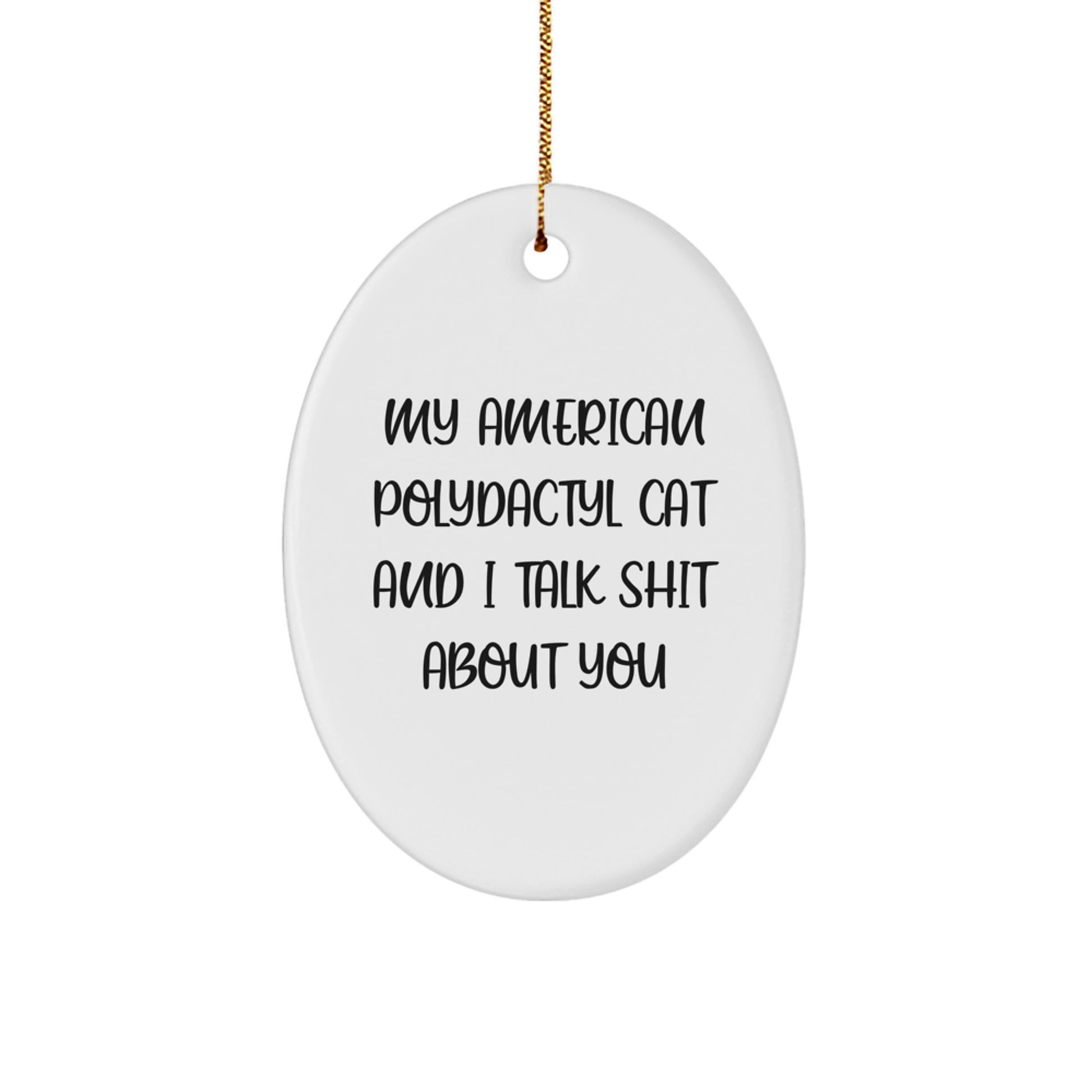 Funny American Polydactyl Cat Oval Ornament Gifts from Friends to Family for Christmas Unique - Image 1
