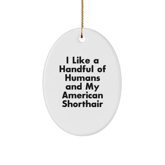 I Like A Handful Of Humans And My American Shorthair Cat Gifts, Oval Ornament, Funny Quote, Christmas Unique Gifts from Family to Friends - Image 1