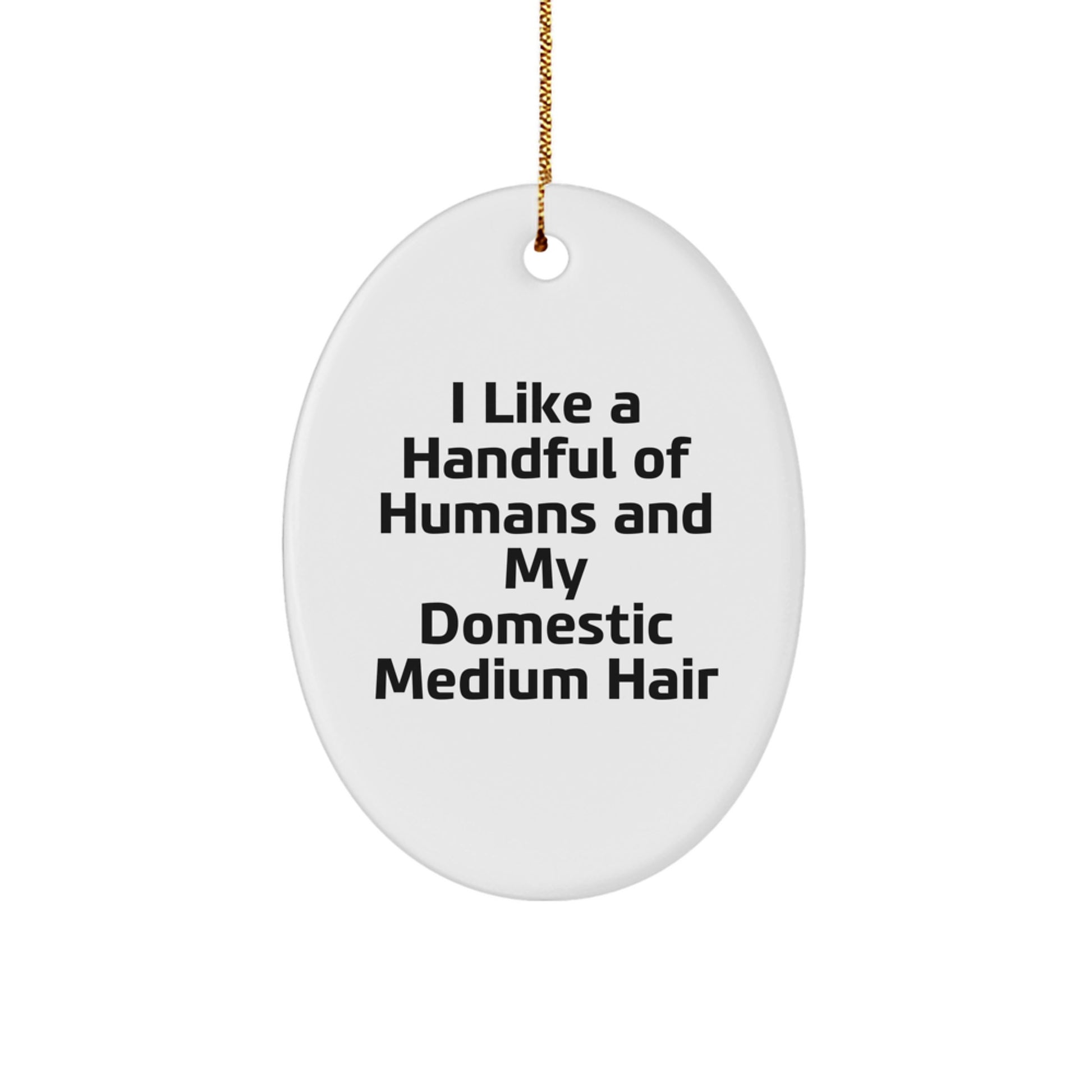 Funny Domestic Medium Hair Oval Ornament Gifts for Friends from Men, Unique Christmas Decorations for Home - Image 1
