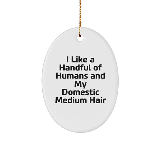 Funny Domestic Medium Hair Oval Ornament Gifts for Friends from Men, Unique Christmas Decorations for Home - Image 1