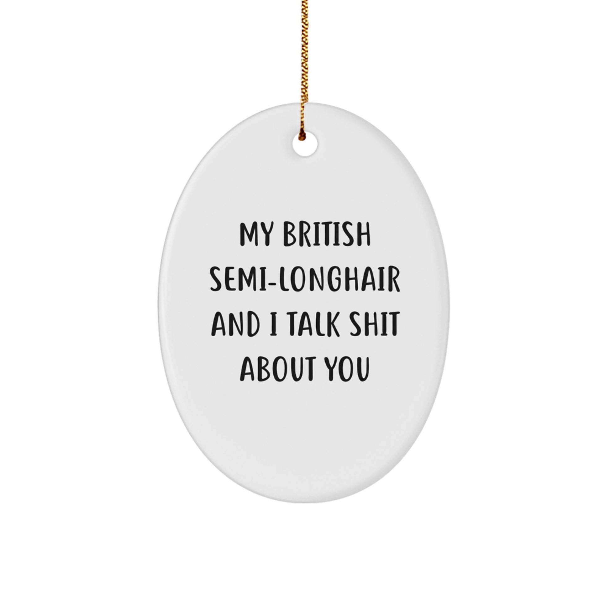 British Semi-Longhair Cat Oval Ornament Funny Gift for Friends and Family - 'My British Semi-longhair And I Talk Shit About You' - Image 1