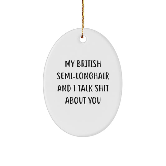 British Semi-Longhair Cat Oval Ornament Funny Gift for Friends and Family - 'My British Semi-longhair And I Talk Shit About You' - Image 1