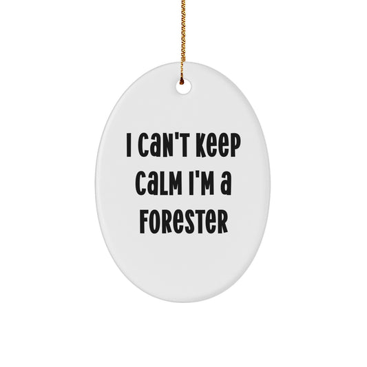 Funny Forester Gifts from Friends, I Can't Keep Calm I'm A Forester Christmas Unique Gifts for Men, Oval Ornament for Forester Enthusiasts - Image 1