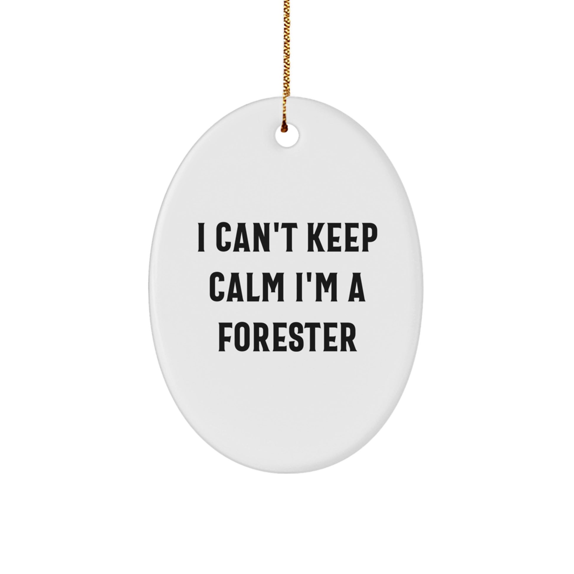 Funny Forester Gifts from Friends - I Can't Keep Calm Oval Ornament for Forester Men Women - Image 1