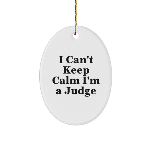 Funny Judge Oval Ornament Gifts from Family, Friends, or Coworkers for Judge, Lawyer, or Men at Christmas Unique - Image 1