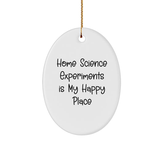 Home Science Experiments Gifts, Funny Oval Ornament, 'Home Science Experiments Is My Happy Place', Christmas Unique Gifts from Friends for Home Science Experiments Enthusiasts - Image 1