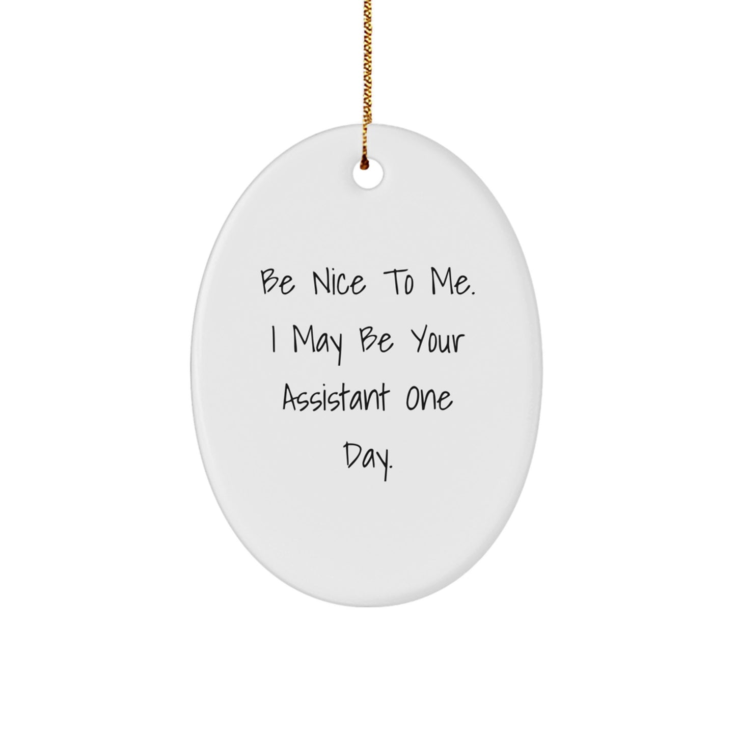 Funny Assistant Gifts from Friends - 'Be Nice To Me. I May Be Your Assistant One Day.' Oval Ornament for Christmas - Image 1