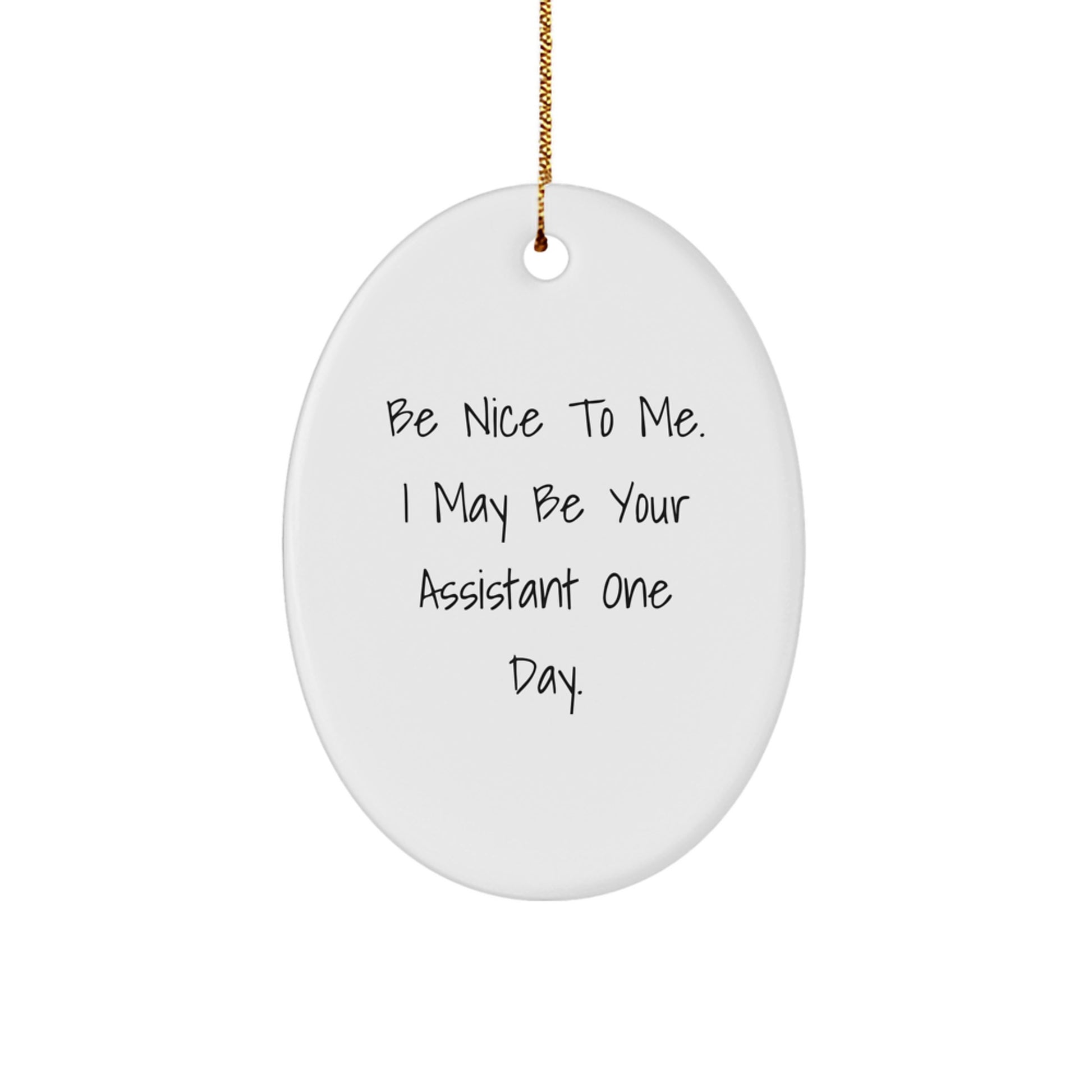 Funny Assistant Gifts from Friends - 'Be Nice To Me. I May Be Your Assistant One Day.' Oval Ornament for Christmas - Image 1