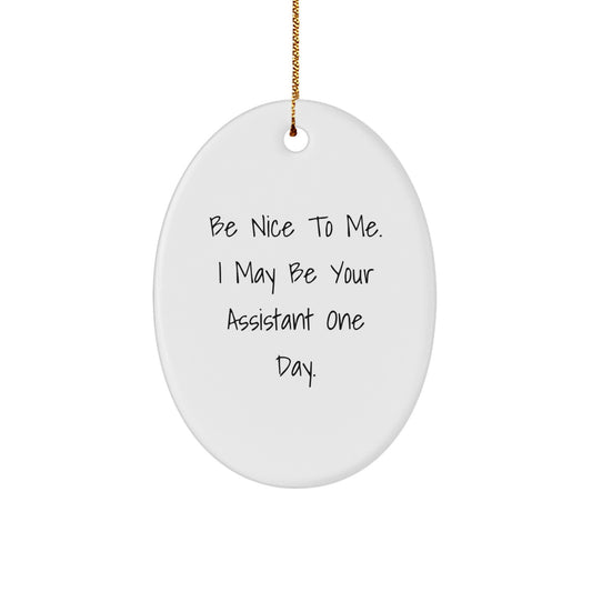 Funny Assistant Gifts from Friends - 'Be Nice To Me. I May Be Your Assistant One Day.' Oval Ornament for Christmas - Image 1