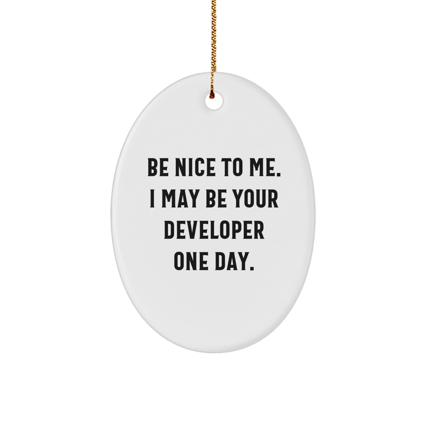 Funny Developer Oval Ornament Gifts from Friends for Christmas, Be Nice To Me. I May Be Your Developer One Day. Christmas Unique Gifts for Developer, Oval Shaped MDF Wooden Gift - Image 1