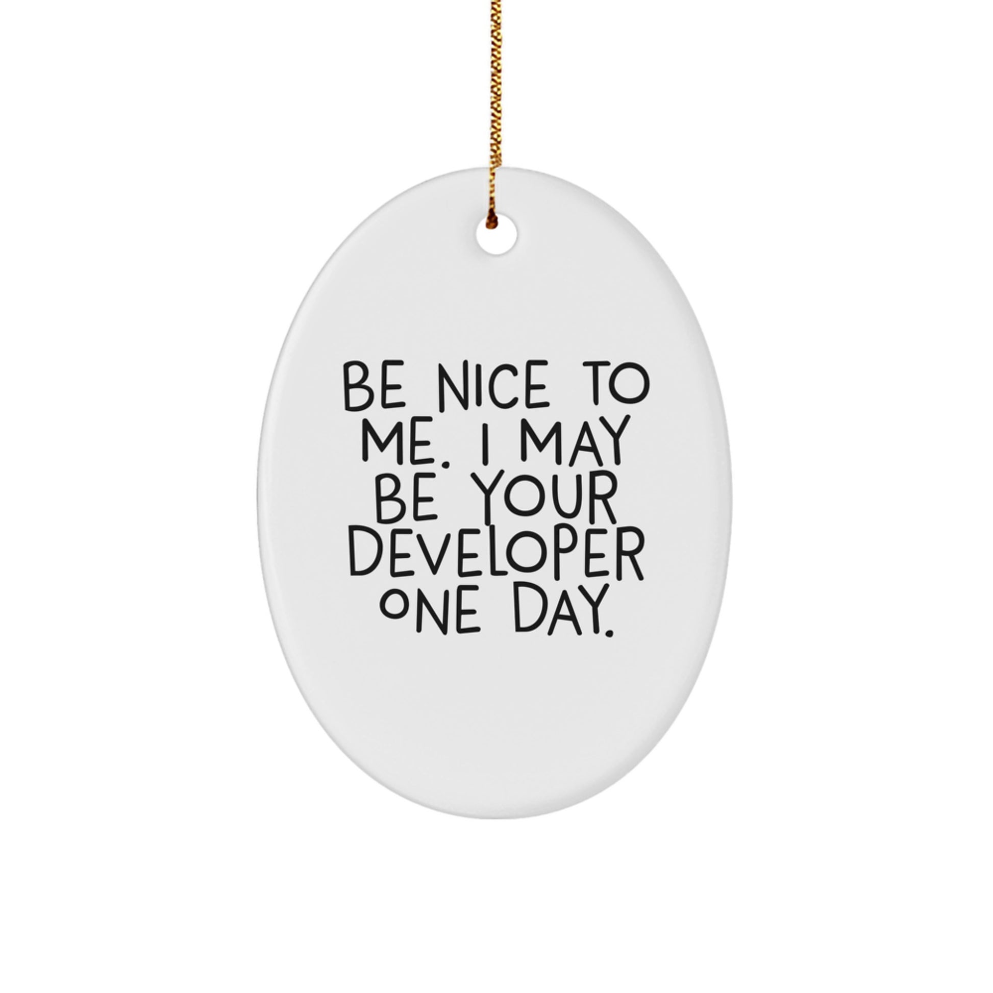 Funny Developer Gifts Christmas Oval Ornament for Men Women Friends Colleagues - Be 'Nice to Me' I May Be Your Developer One Day. - Image 1
