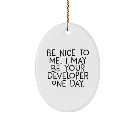 Funny Developer Gifts Christmas Oval Ornament for Men Women Friends Colleagues - Be 'Nice to Me' I May Be Your Developer One Day. - Image 1