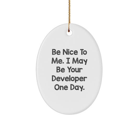 Unique Developer Gift Ideas Funny Oval Ornament for Developer Friends Family Colleagues Gifts from Men Women Friends Family - Image 1