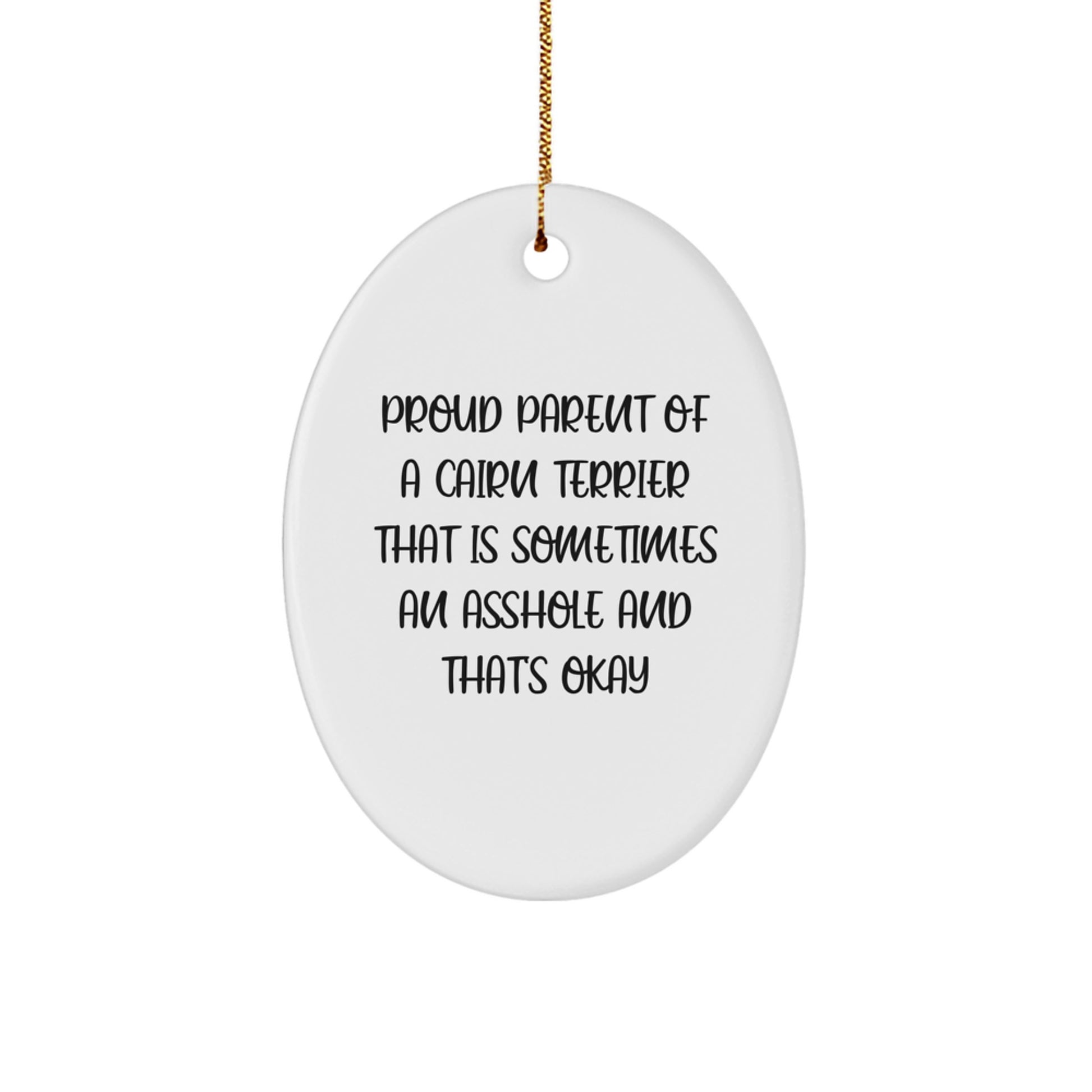 Funny Cairn Terrier Dog Gifts for Men - Proud Parent Oval Ornament Christmas Unique Gifts from Friends - Image 1