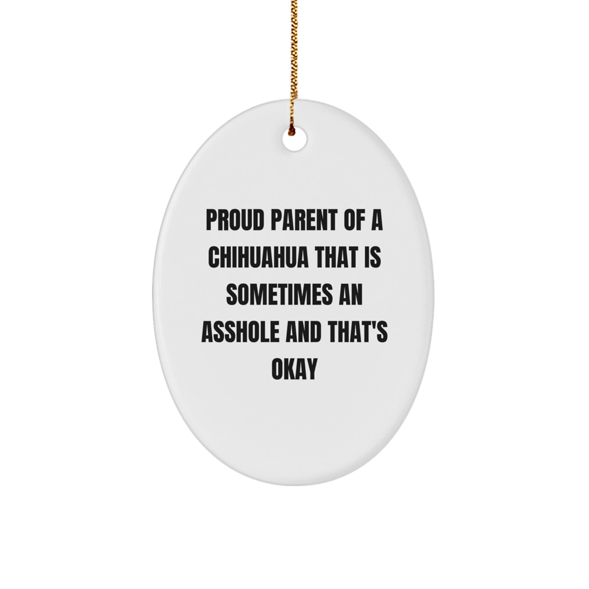 Funny Chihuahua Dog Lover Gifts from Family for Christmas Unique Presents Oval Ornament - Image 1