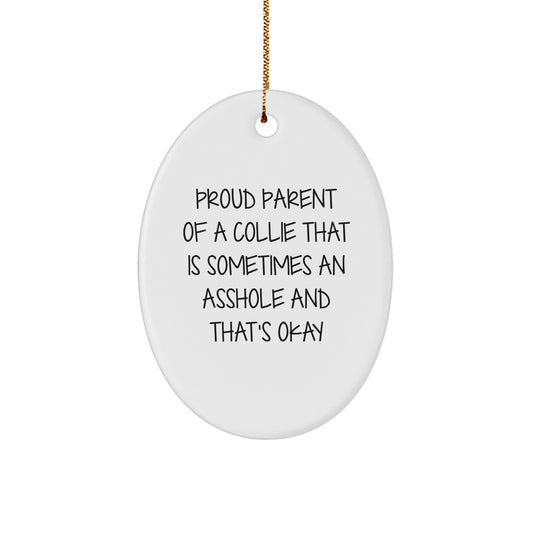 Funny Collie Dog Oval Ornaments Gifts from Family to Friends for Christmas Unique Decorations - Image 1