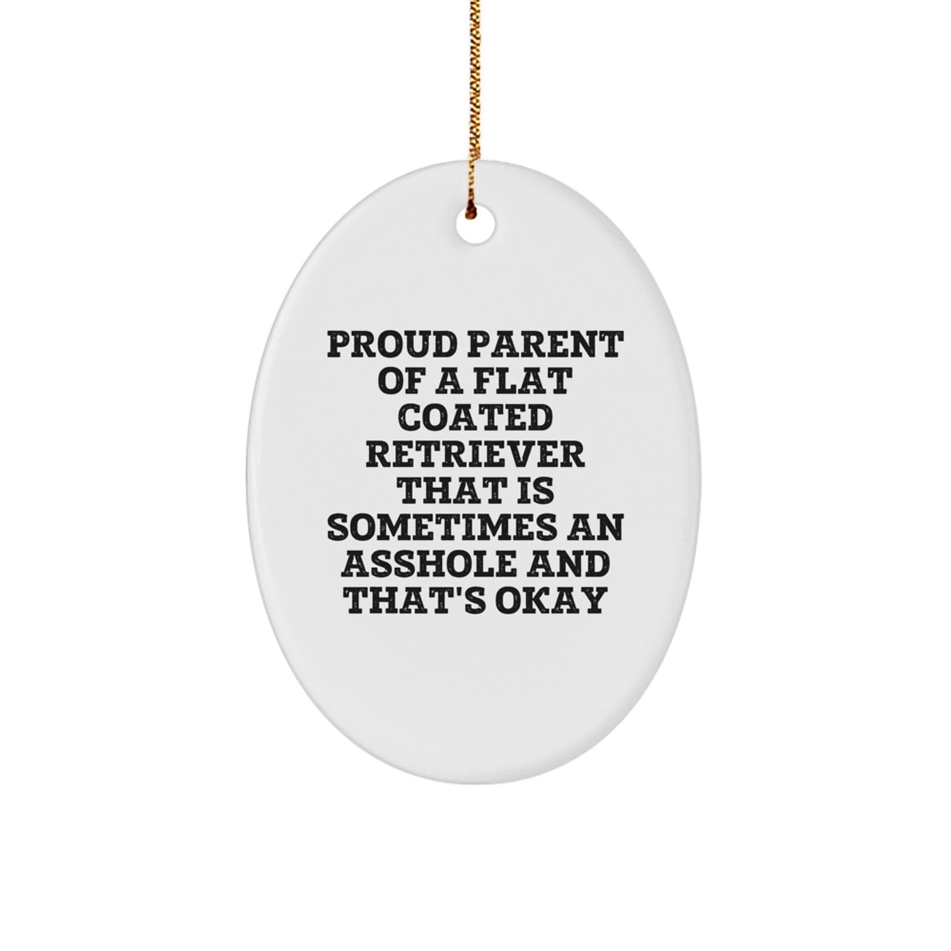 Funny Flat Coated Retriever Dog Oval Ornament Gifts from Friends, Christmas Unique Gifts for Flat Coated Retriever Dog Lovers - Image 1