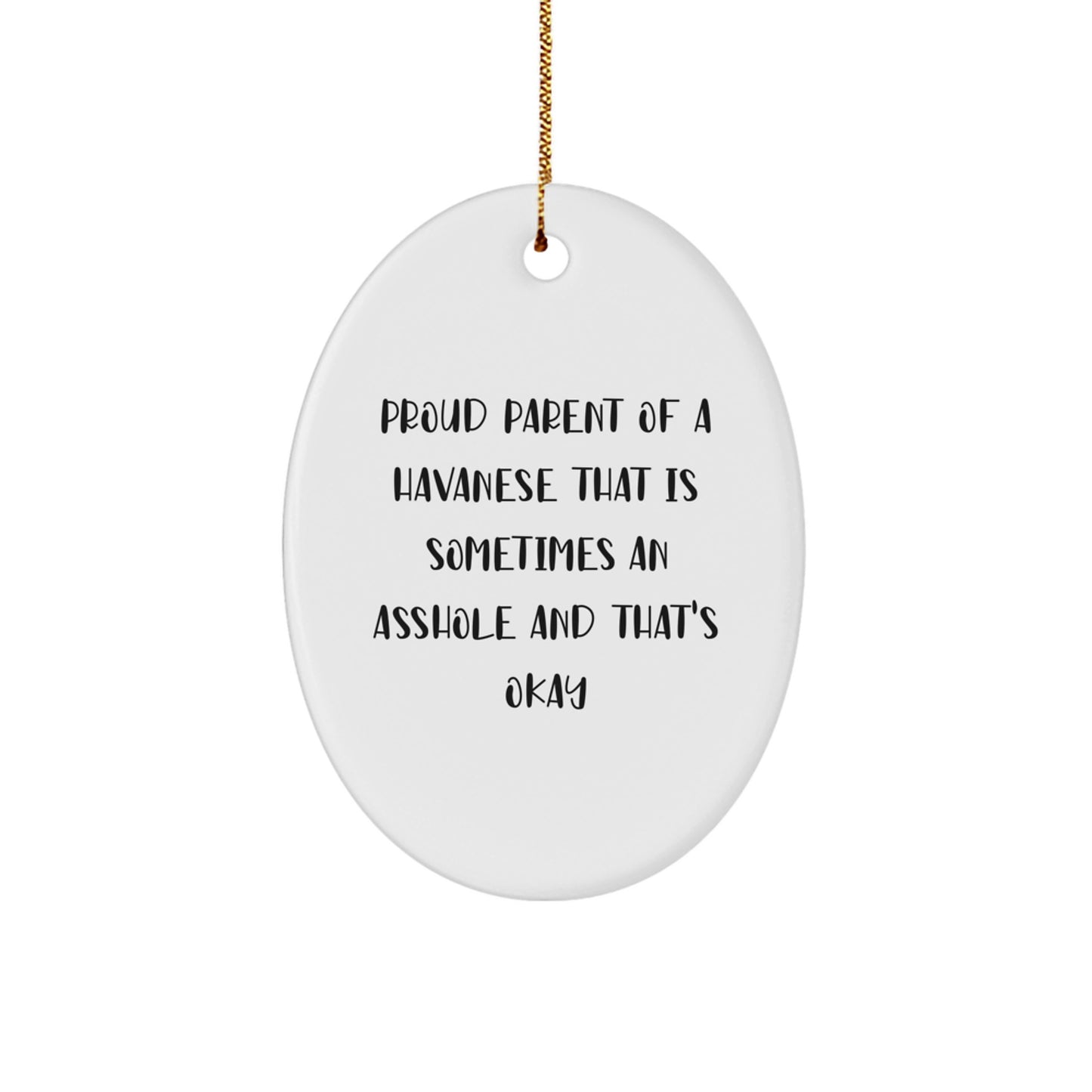 Funny Havanese Dog Oval Ornament Gifts for Christmas from Friends and Family, Proud Parent Quotes - Image 1