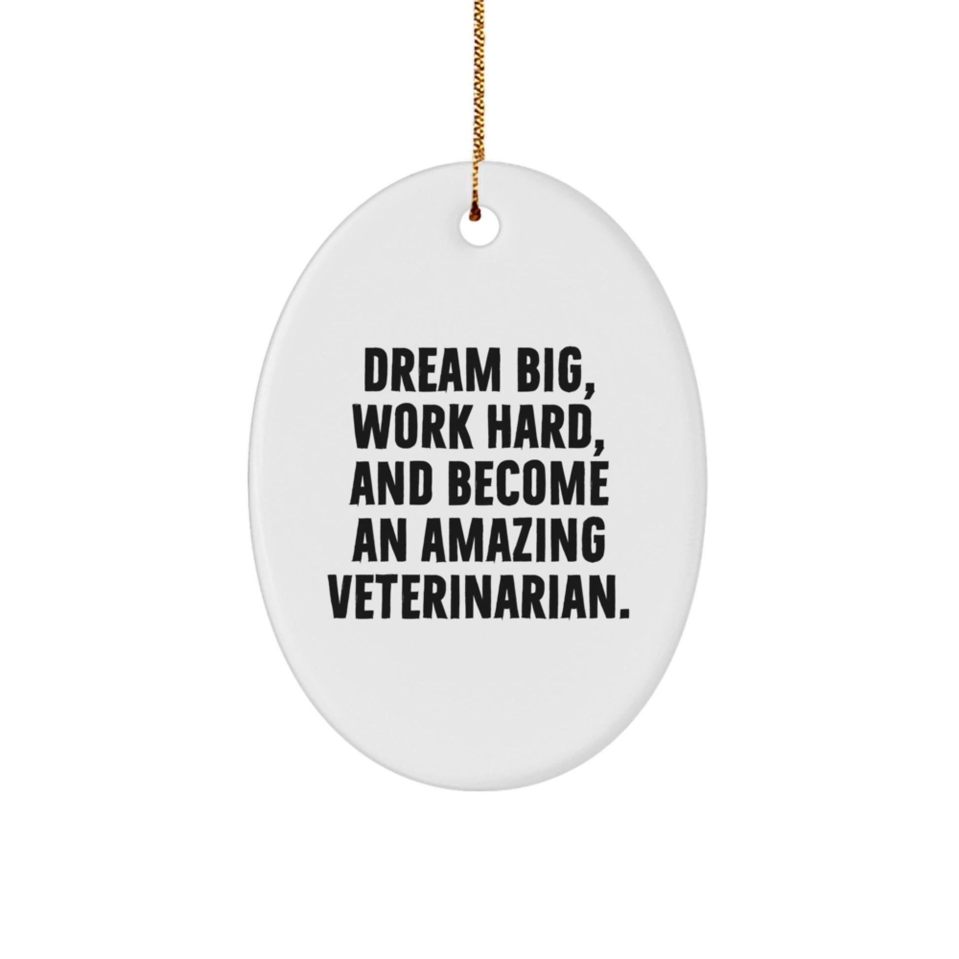 Gifts from Family, Friends, or Coworkers to Veterinarians: Oval Ornament with Inspirational Quote 'Dream Big, Work Hard, And Become An Amazing Veterinarian.' for Christmas - Image 1