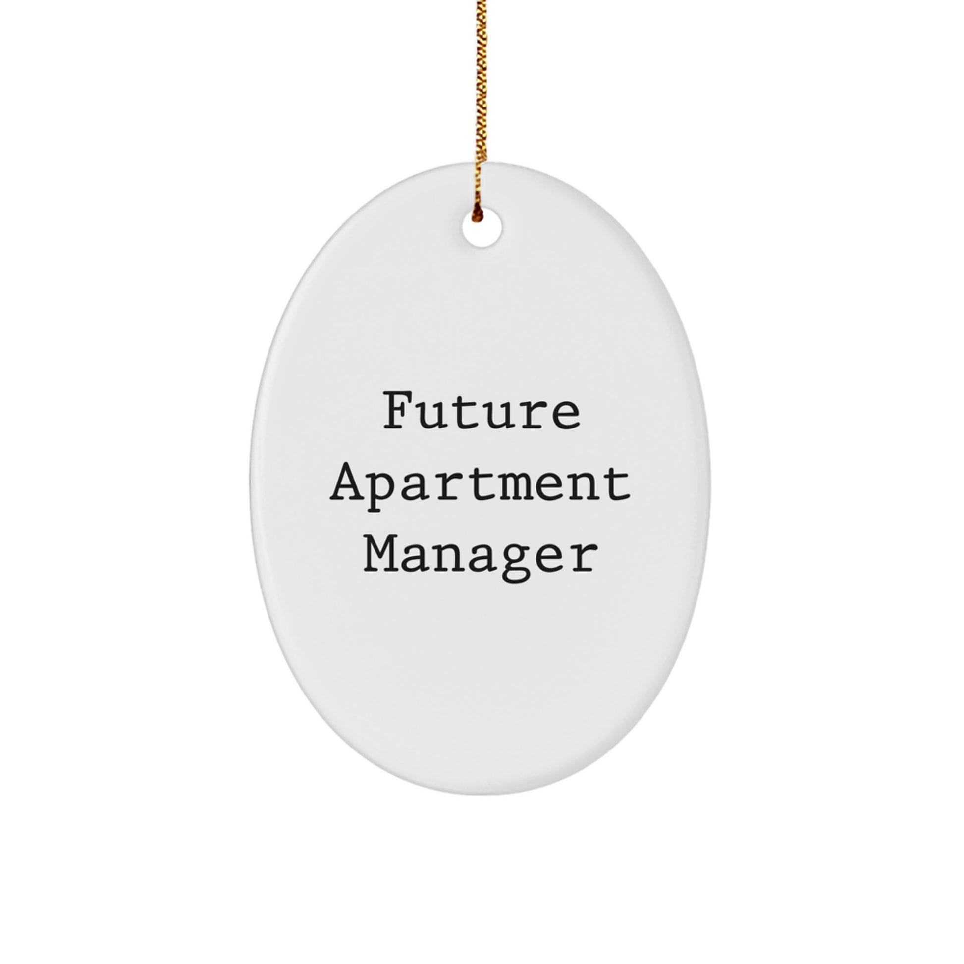 Funny Quote Oval Ornament, Apartment Manager Gift, Gifts from Friends for Future Apartment Manager, Christmas Unique Gifts - Image 1