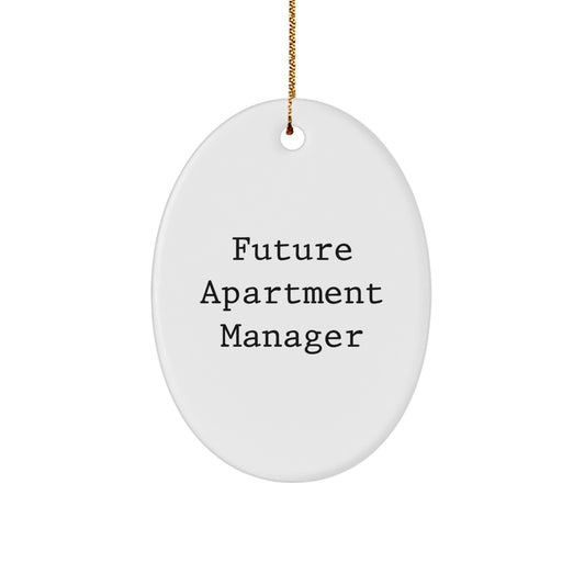 Funny Quote Oval Ornament, Apartment Manager Gift, Gifts from Friends for Future Apartment Manager, Christmas Unique Gifts - Image 1