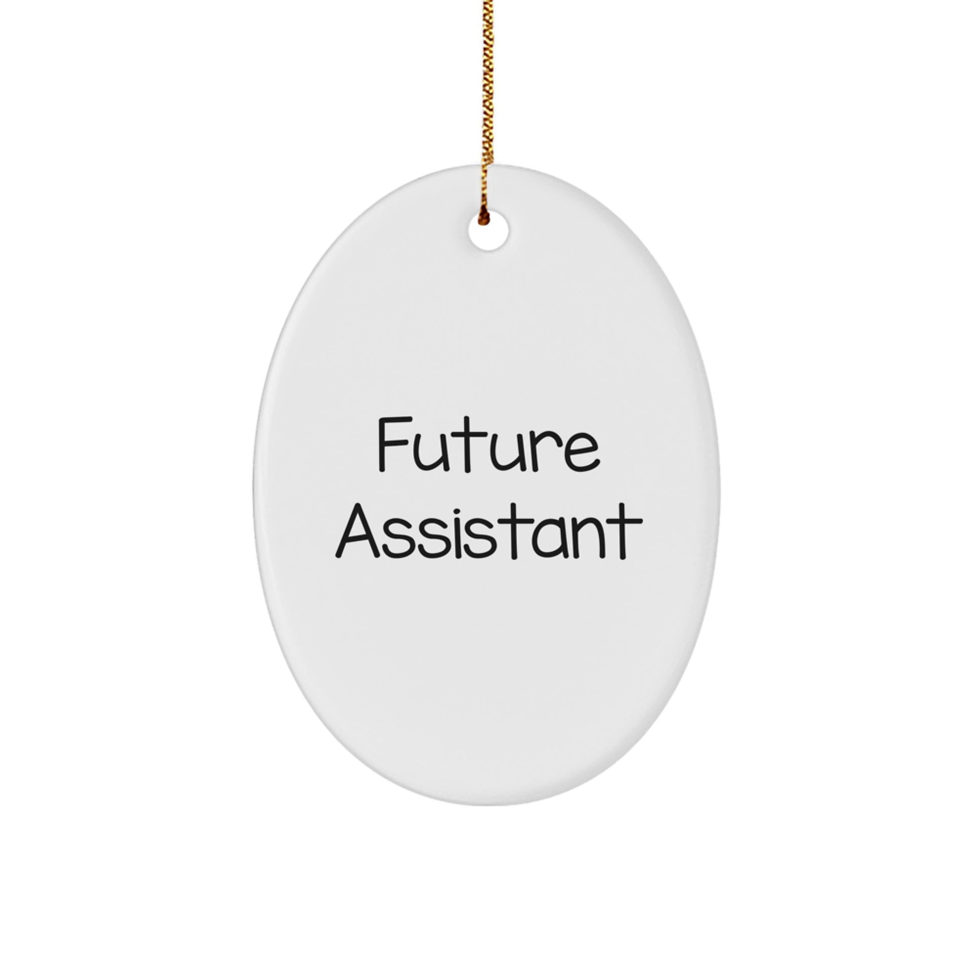 Funny Future Assistant Gifts from Friends, Oval Ornament for Christmas, 'Life is a Puzzle' Quote, Gifts for Future Assistants - Image 1
