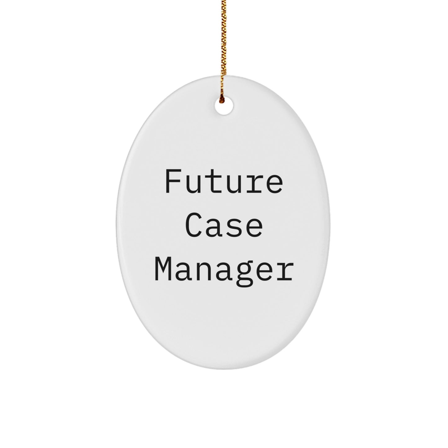 Funny Inspirational Gift for Future Case Manager Case Manager Unique Oval Ornaments Gifts from Friends and Family - Image 1