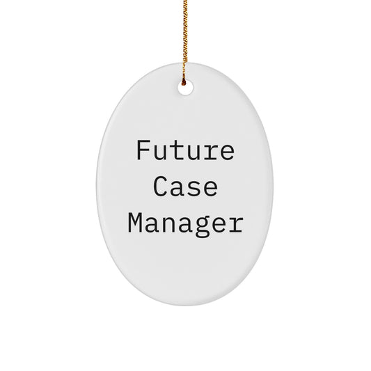 Funny Inspirational Gift for Future Case Manager Case Manager Unique Oval Ornaments Gifts from Friends and Family - Image 1