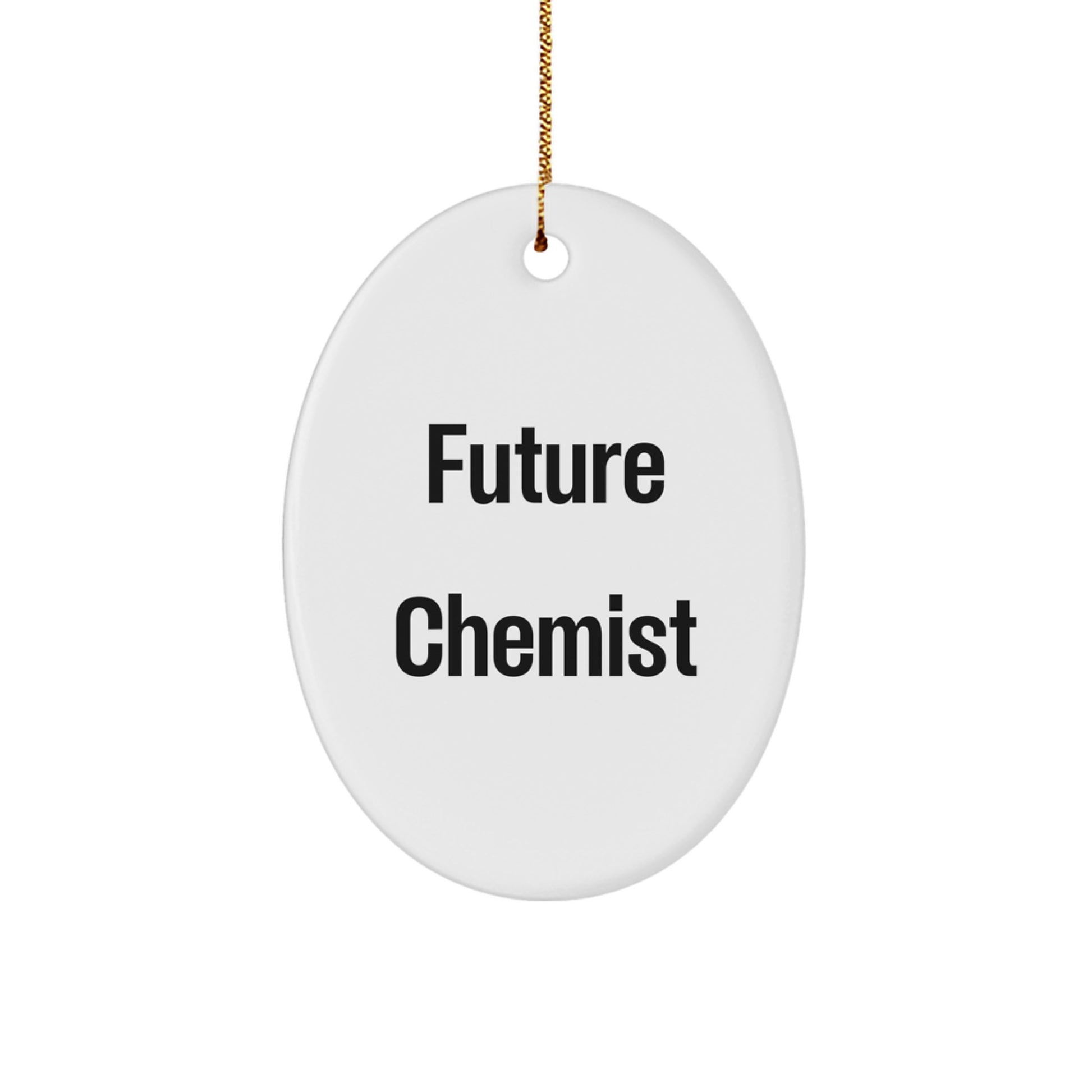 Funny Future Chemist Oval Ornament Gifts from Family for Chemist Friends and Coworkers - Image 1