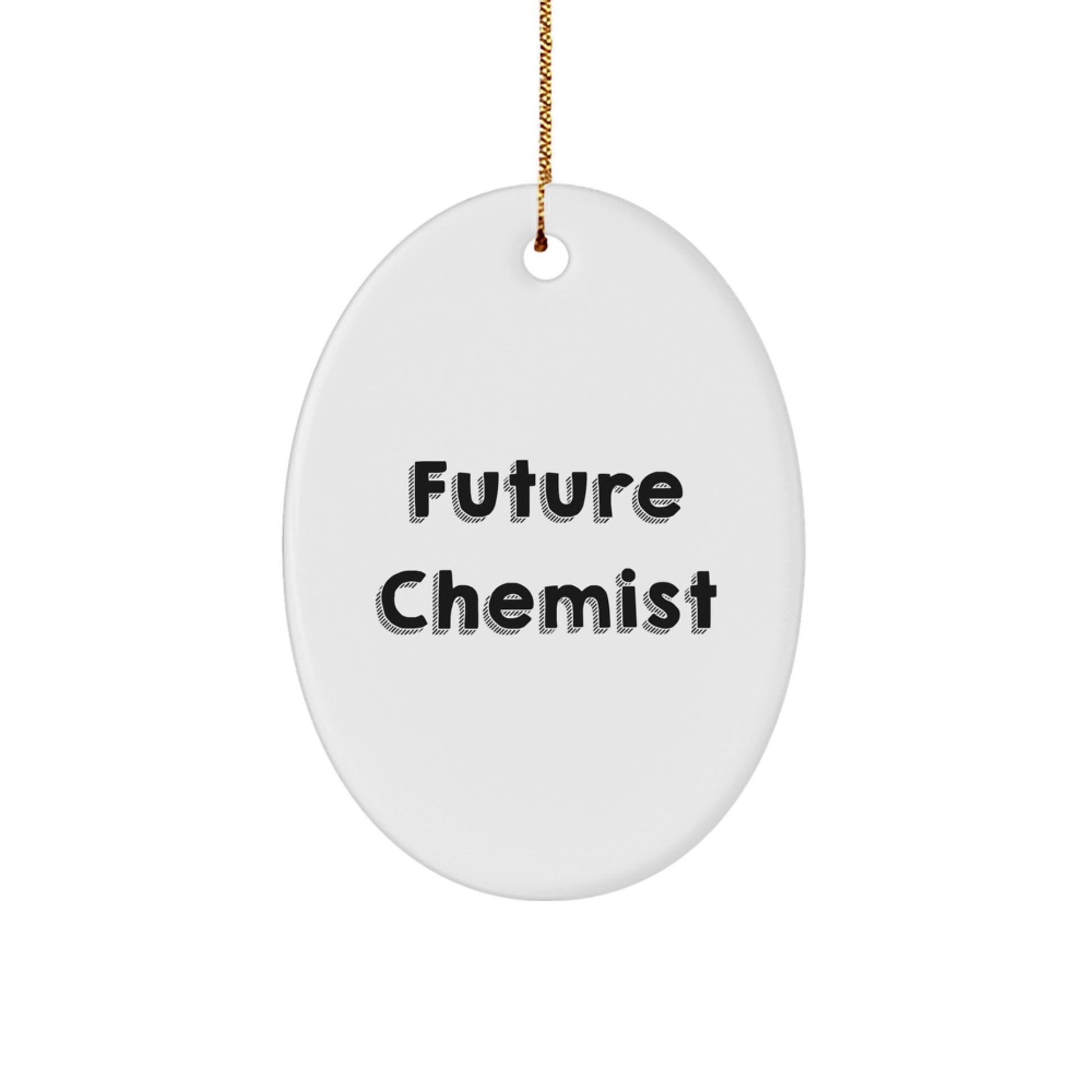 Funny Future Chemist Oval Ornament Gifts from Family for Chemist Men, Oval Shaped Christmas Unique Gifts - Image 1