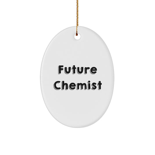 Funny Future Chemist Oval Ornament Gifts from Family for Chemist Men, Oval Shaped Christmas Unique Gifts - Image 1