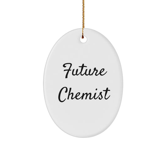 Funny Future Chemist Oval Ornament Gifts from Family for Friends Christmas Unique Gifts - Image 1