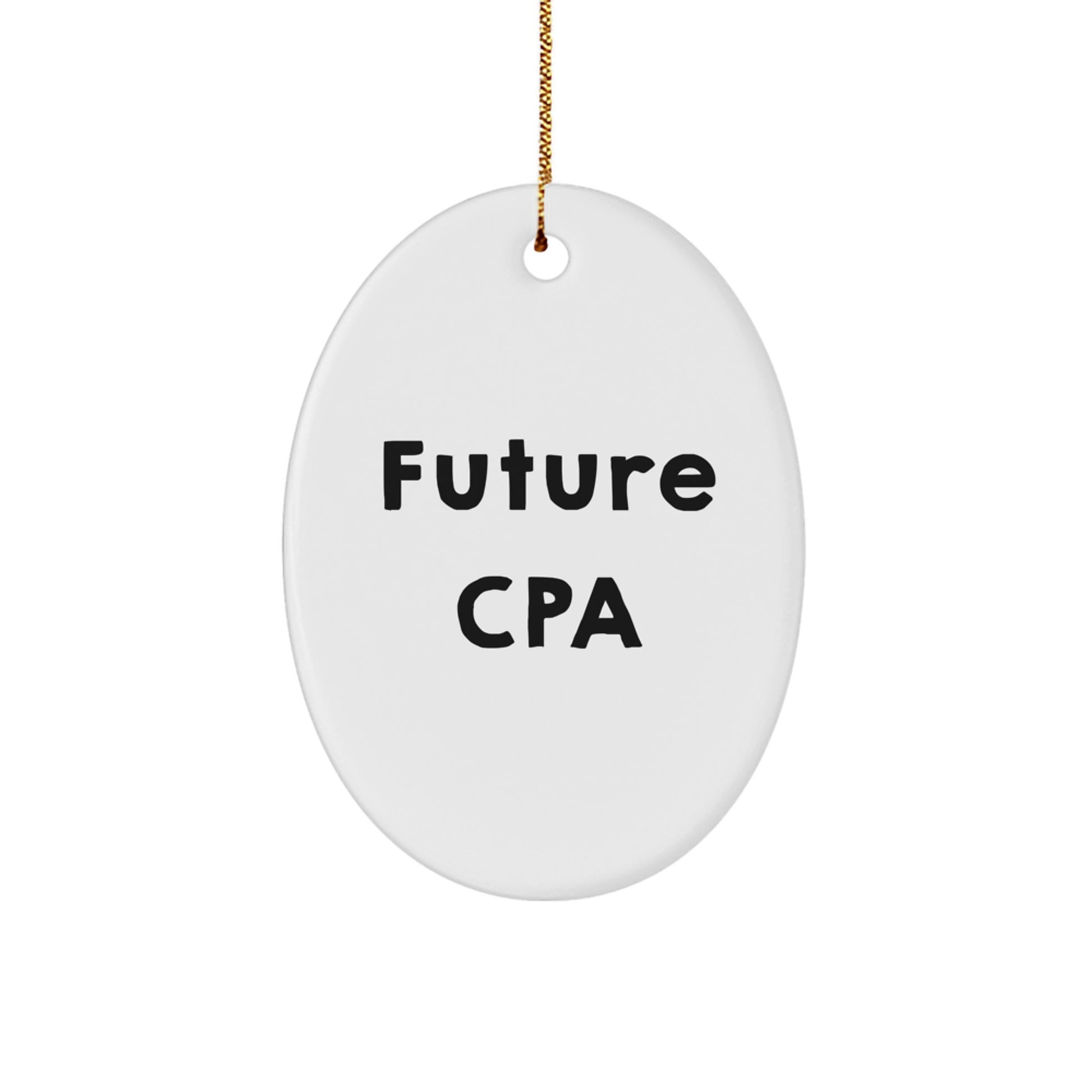Funny CPA Gifts from Men for Future CPAs, Oval Ornament with Inspirational Quote, Christmas Unique Gifts for Women, Coworkers, and Family - Image 1