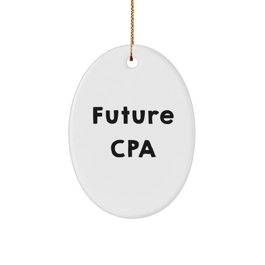 Funny CPA Gifts from Men for Future CPAs, Oval Ornament with Inspirational Quote, Christmas Unique Gifts for Women, Coworkers, and Family - Image 1
