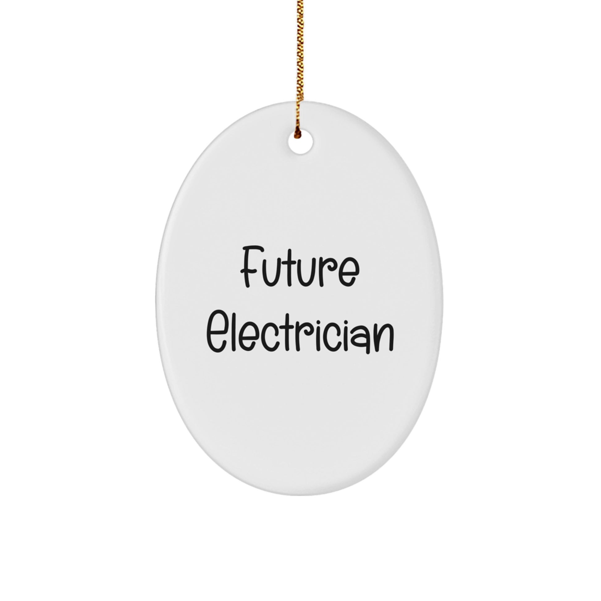 Funny Future Electrician Oval Ornament Gifts from Men to Family, Gifts for Electrician Friends and Coworkers on Christmas Unique - Image 1