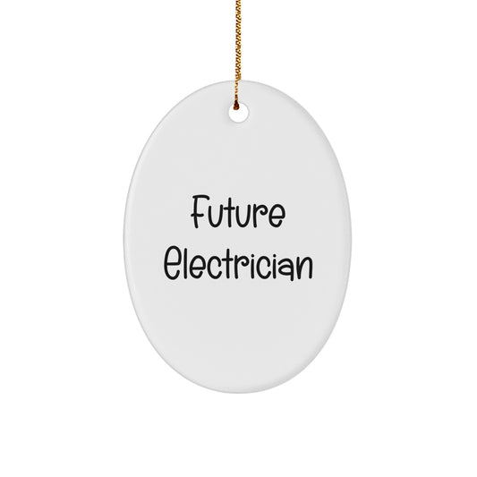 Funny Future Electrician Oval Ornament Gifts from Men to Family, Gifts for Electrician Friends and Coworkers on Christmas Unique - Image 1