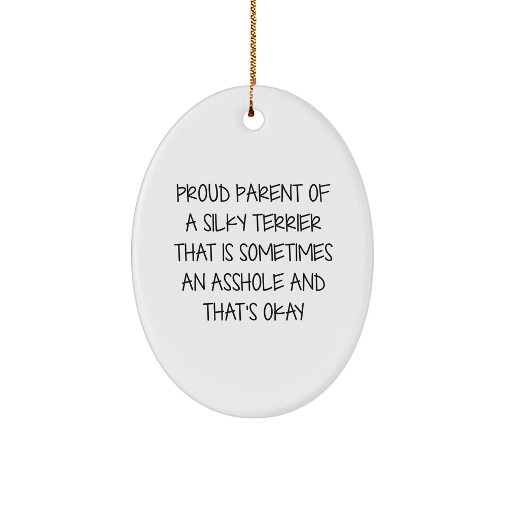 Funny Silky Terrier Dog Lover Gifts from Men to Women for Christmas Unique Ornament - Image 1