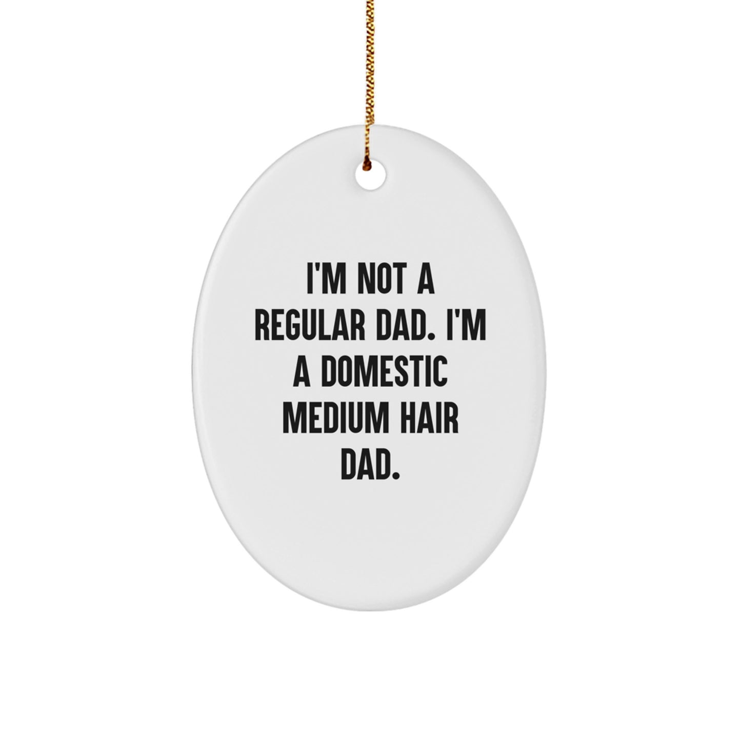 Funny Christmas Unique Gifts for Domestic Medium Hair Cat Lovers, 'I'm Not A Regular Dad' Oval Ornament, Unique Present Ideas for Men, Women, Family, Friends - Image 1