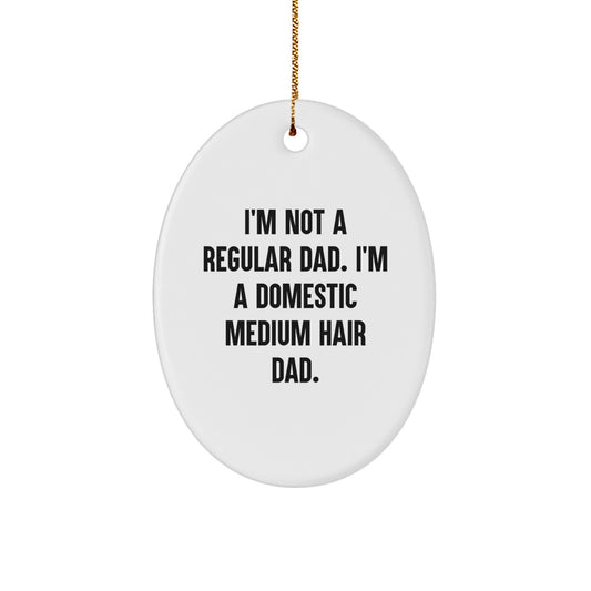 Funny Christmas Unique Gifts for Domestic Medium Hair Cat Lovers, 'I'm Not A Regular Dad' Oval Ornament, Unique Present Ideas for Men, Women, Family, Friends - Image 1