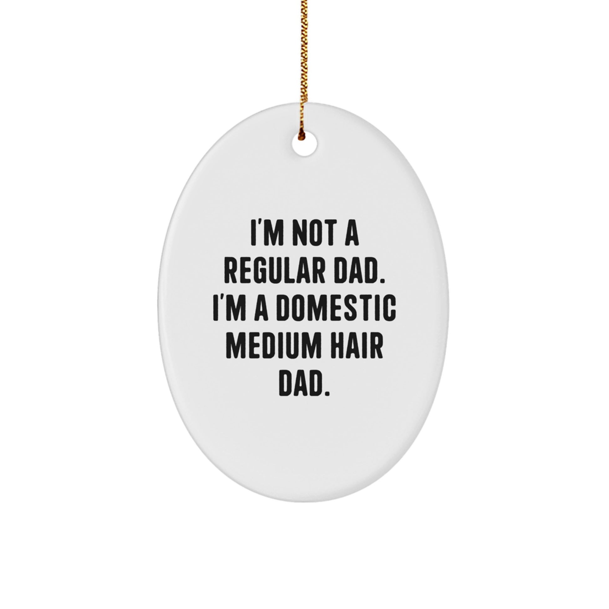Funny Domestic Medium Hair Cat Dad Gifts Oval Ornament for Christmas Unique Gifts from Men to Family - Image 1