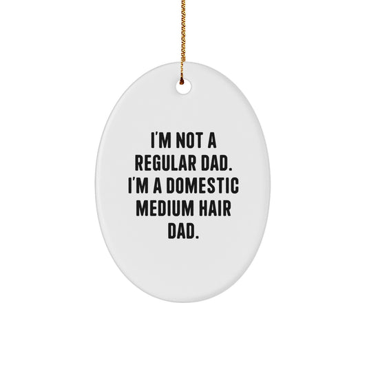 Funny Domestic Medium Hair Cat Dad Gifts Oval Ornament for Christmas Unique Gifts from Men to Family - Image 1