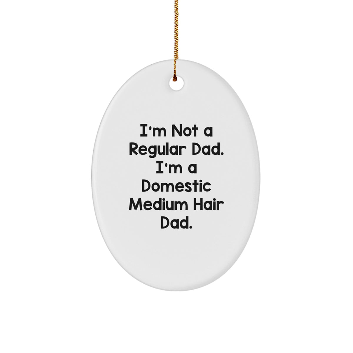Domestic Medium Hair Cat Oval Ornament Not Regular Dad for Friends Gift - Image 1