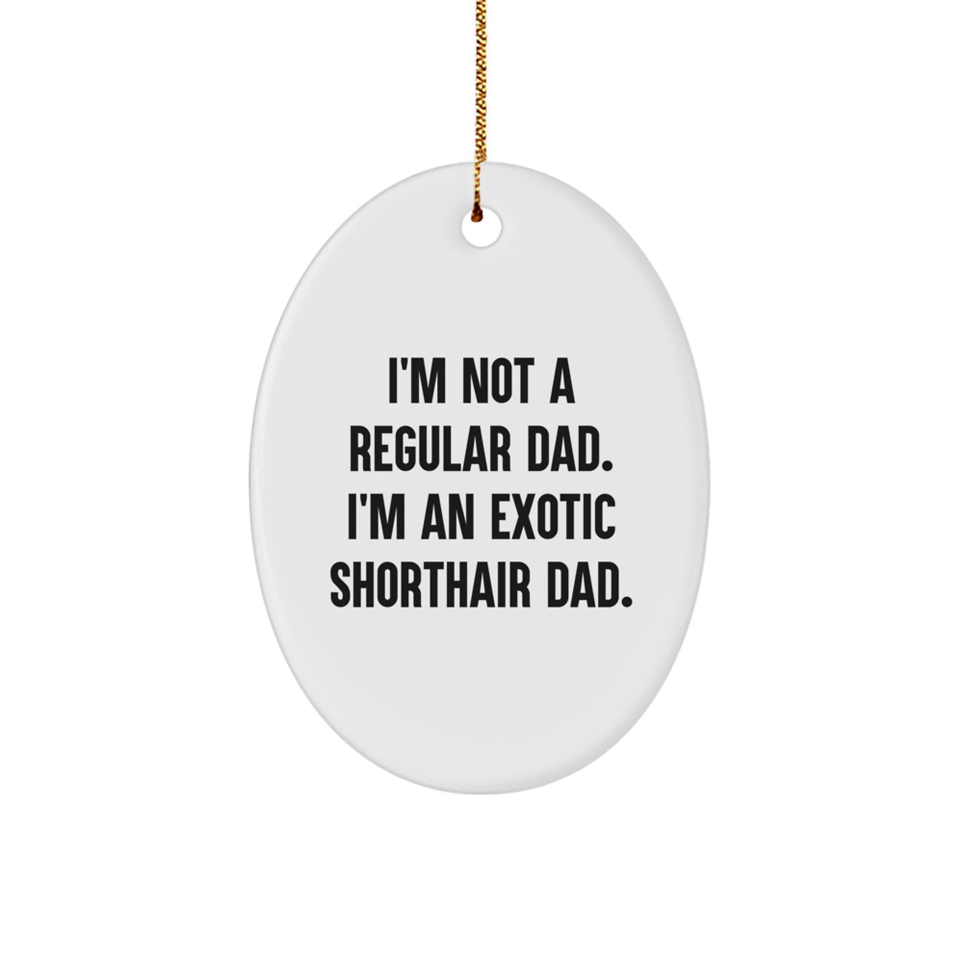 Funny Exotic Shorthair Cat Dad Oval Ornament, Unique Christmas Unique Gifts from Men to Exotic Shorthair Cat Lovers - Image 1